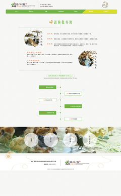 返林散養(yǎng)雞網(wǎng)頁設(shè)計(jì)效果圖