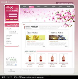 專業(yè)日化洗滌用品網(wǎng)頁模板設計下載與網(wǎng)絡技術服務解析